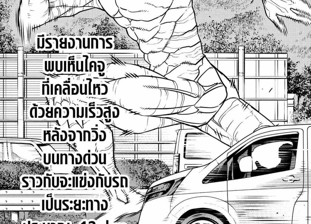 Kaiju No.8 แปลไทย