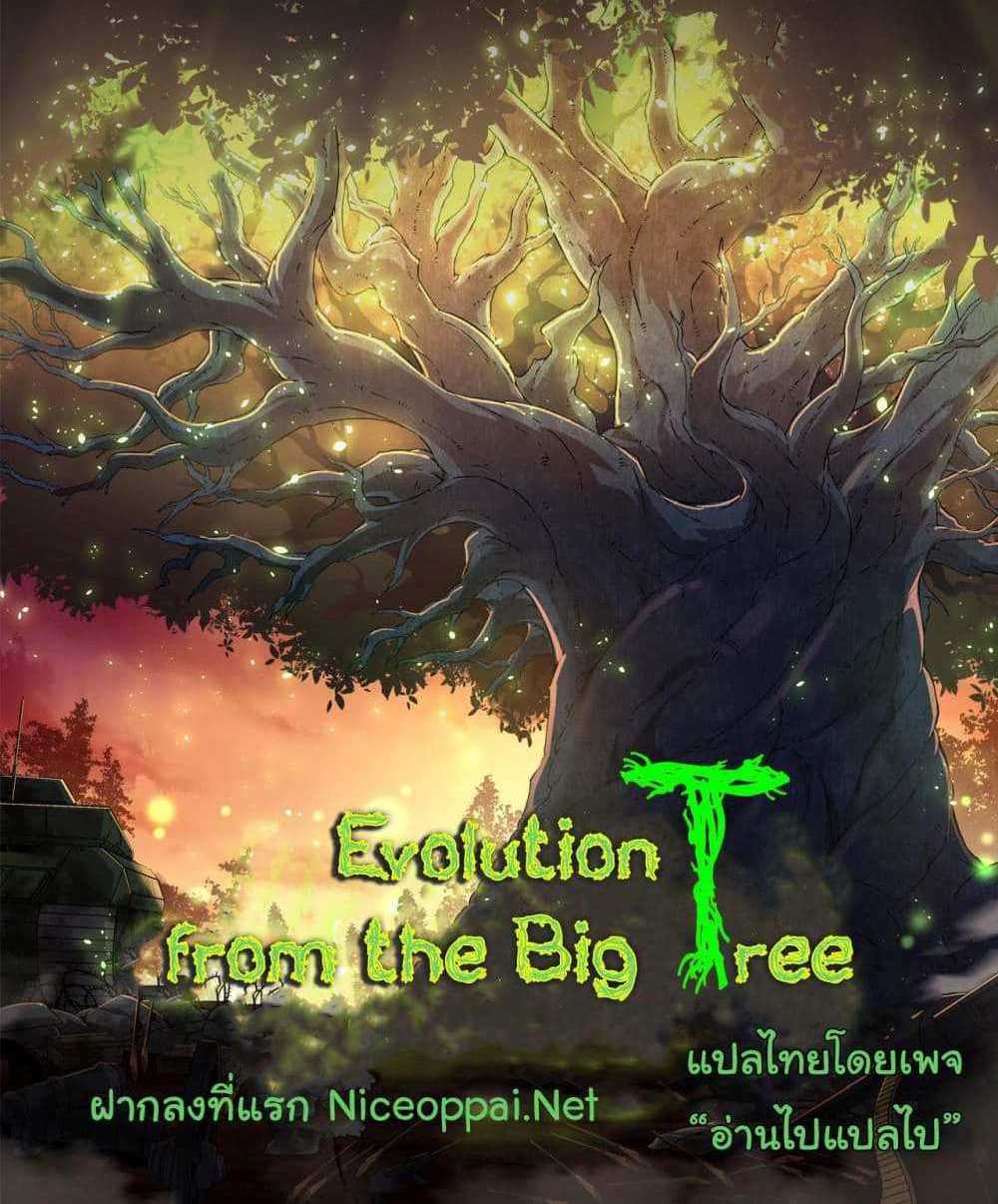 Evolution from the Big Tree แปลไทย