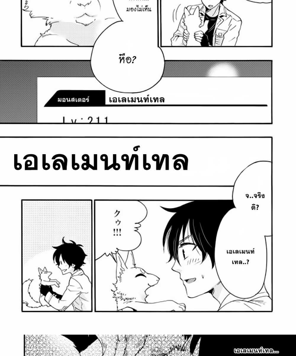 The New Gate แปลไทย