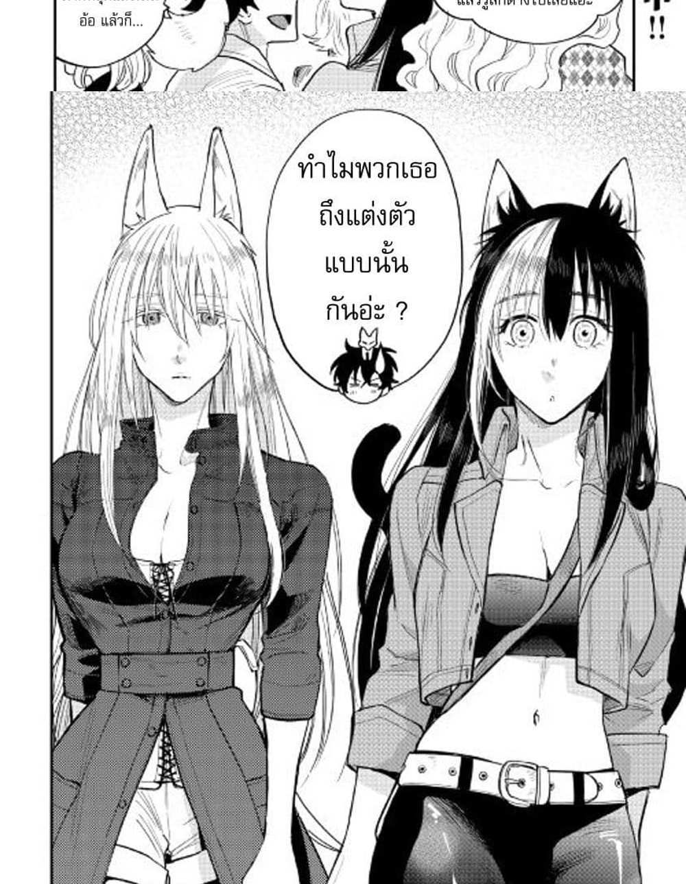 The New Gate แปลไทย