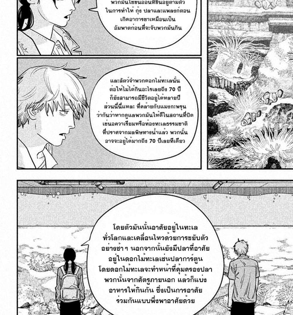 Chainsaw Man แปลไทย