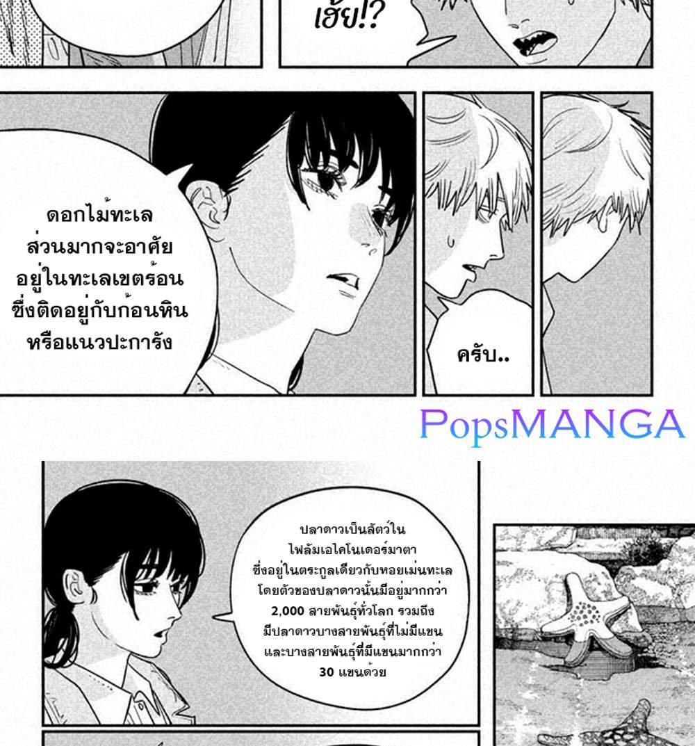 Chainsaw Man แปลไทย