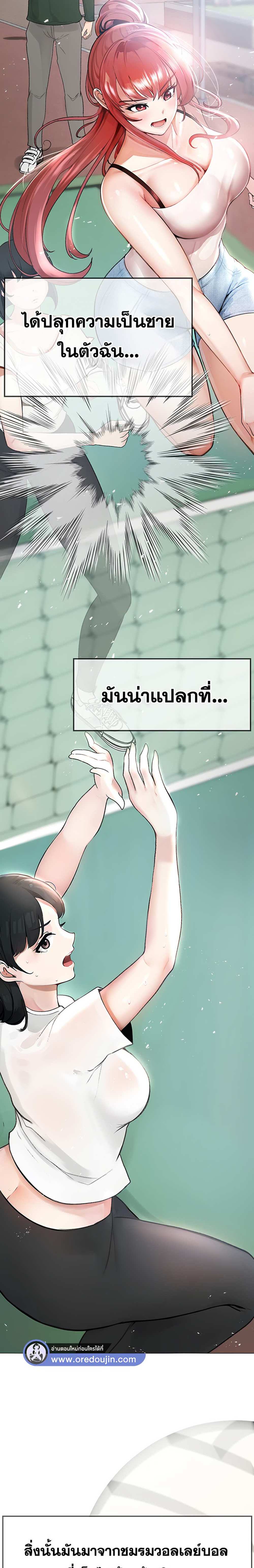 Golden Facade แปลไทย