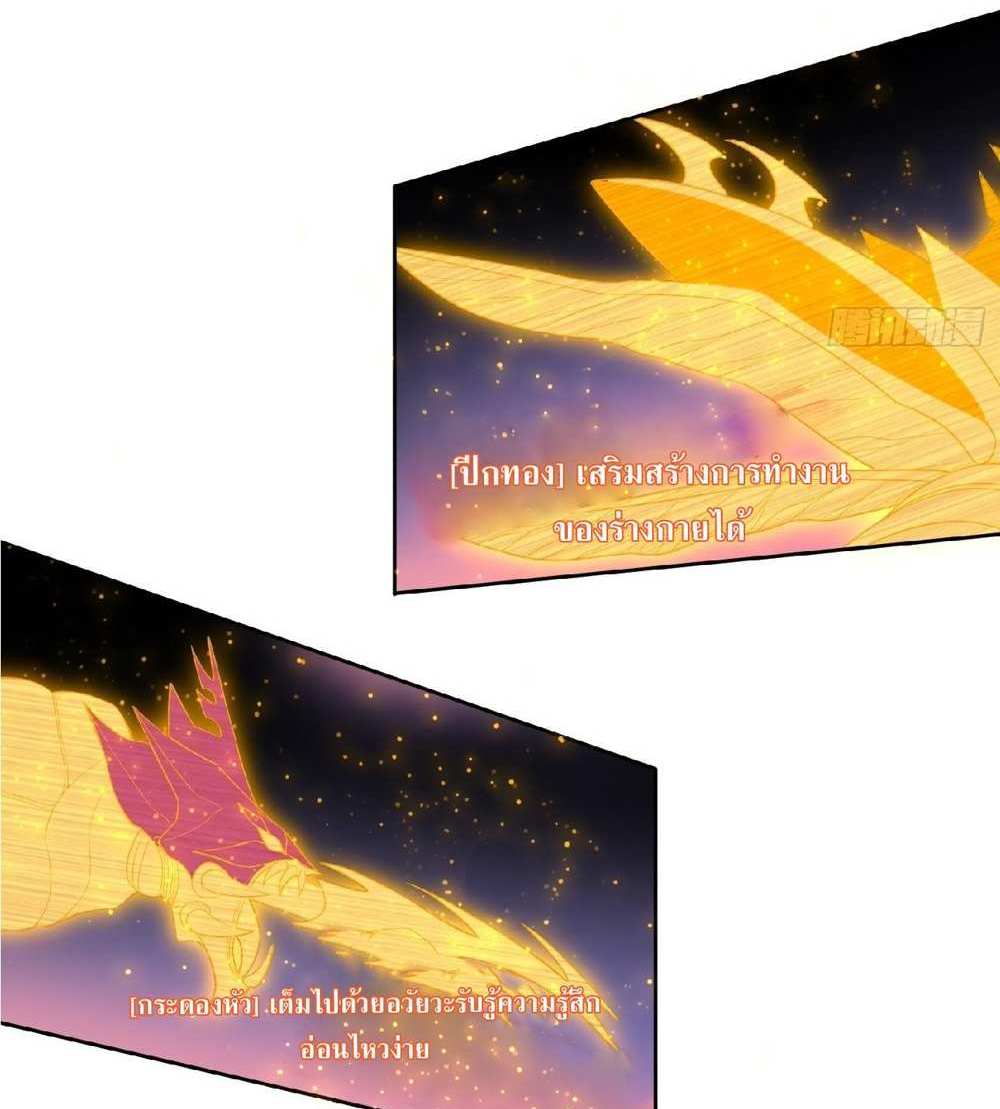 The People On Earth Are Too Ferocious แปลไทย