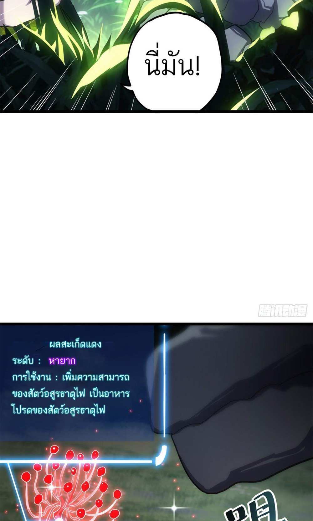 Astral Pet Store แปลไทย