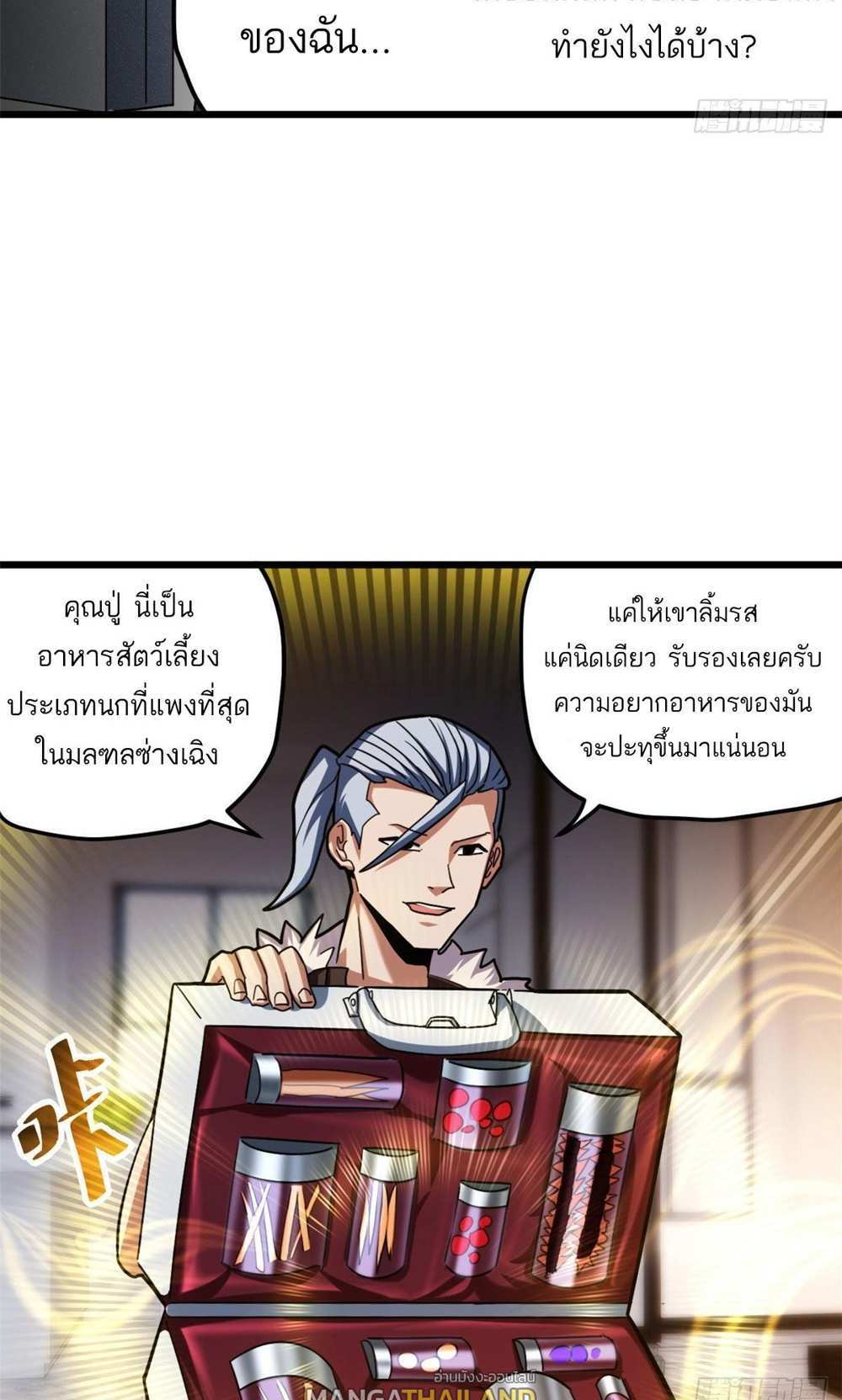 Astral Pet Store แปลไทย