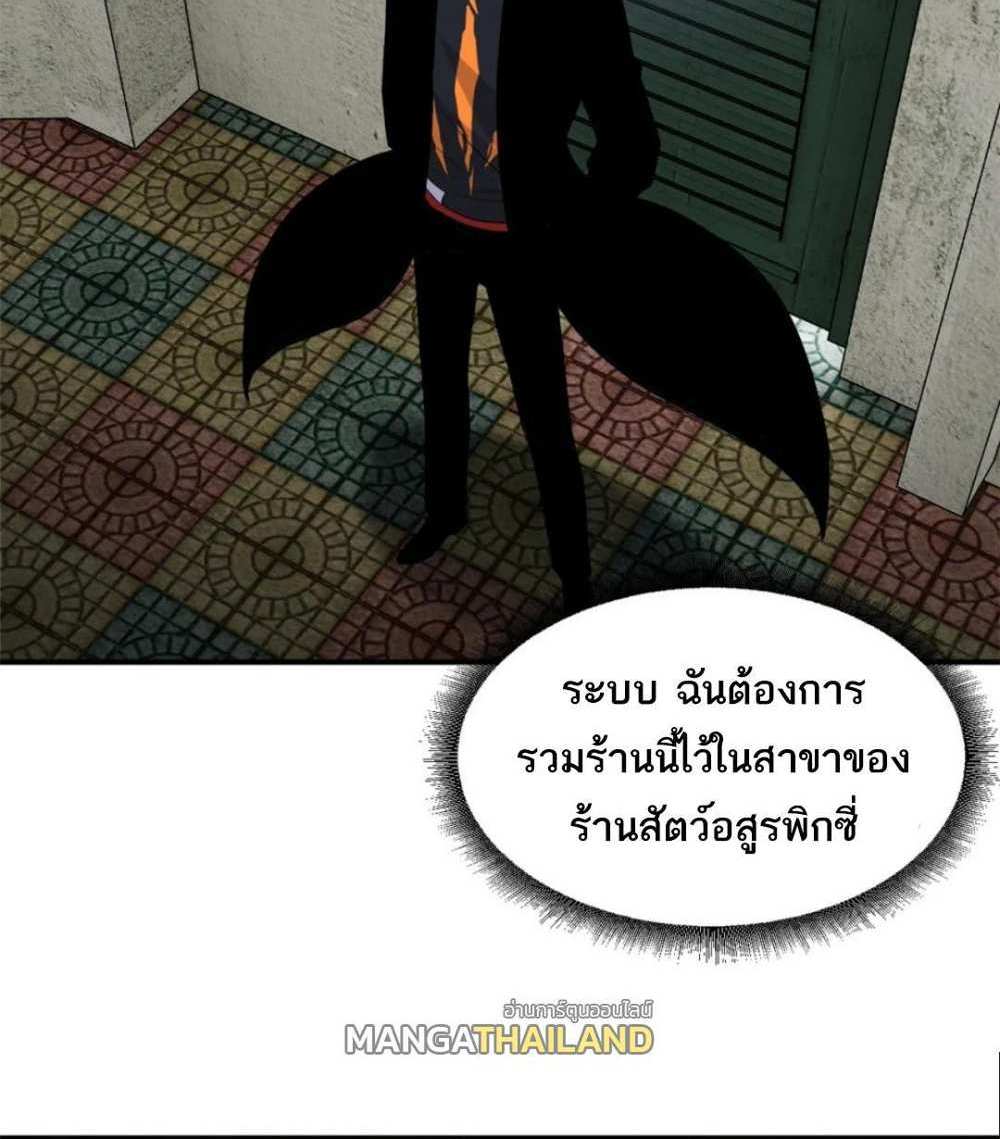 Astral Pet Store แปลไทย