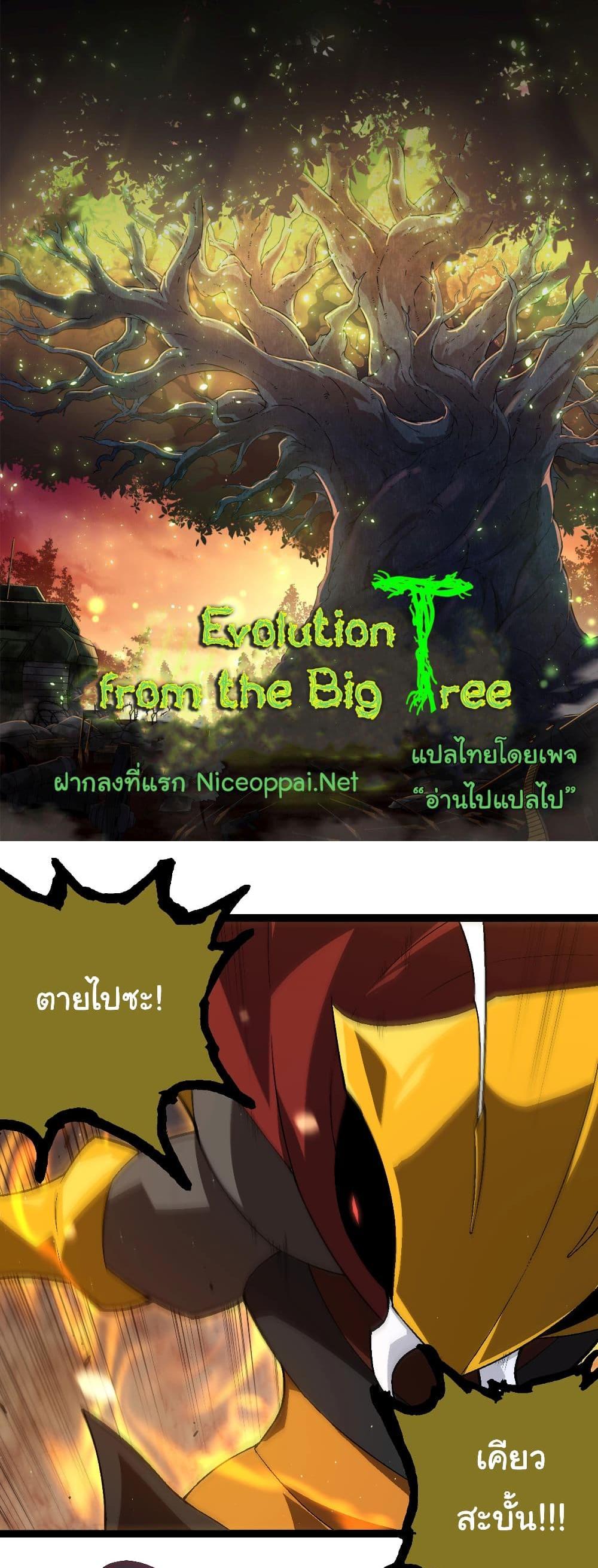 Evolution from the Big Tree แปลไทย