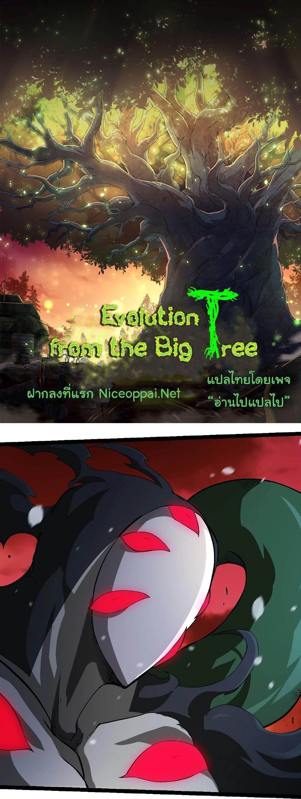 Evolution from the Big Tree แปลไทย