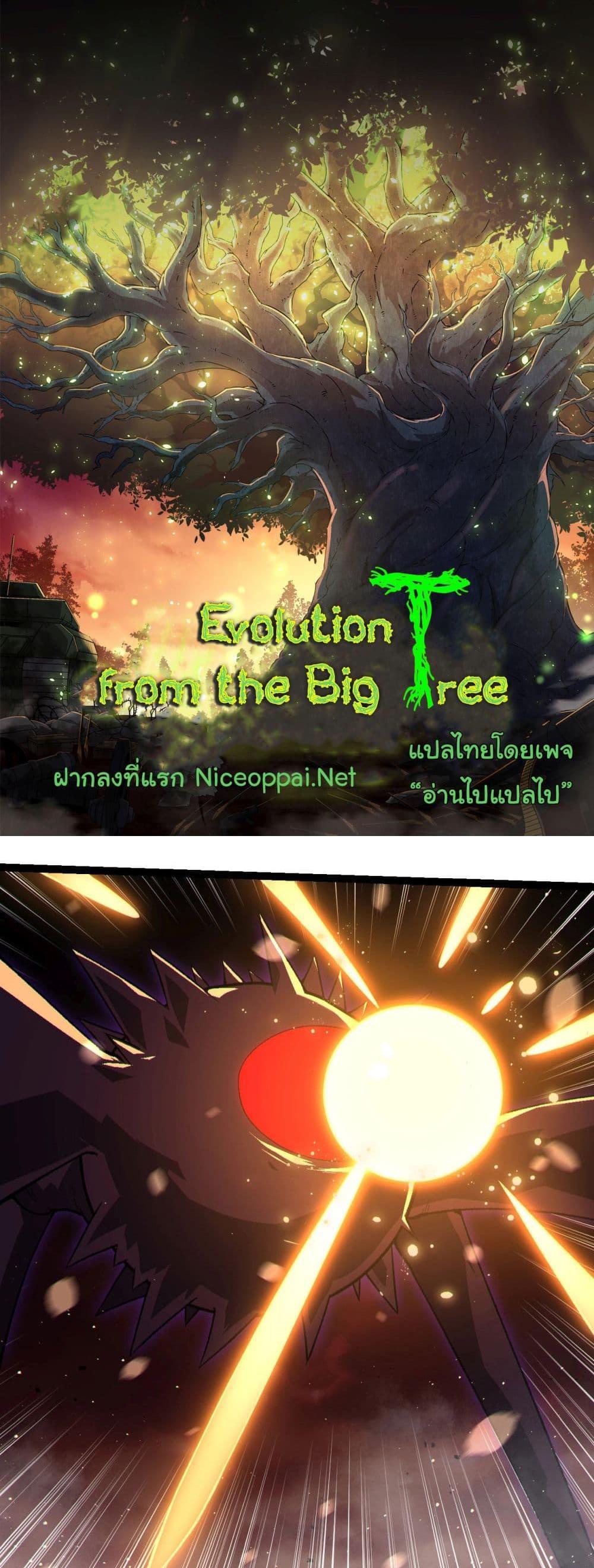 Evolution from the Big Tree แปลไทย