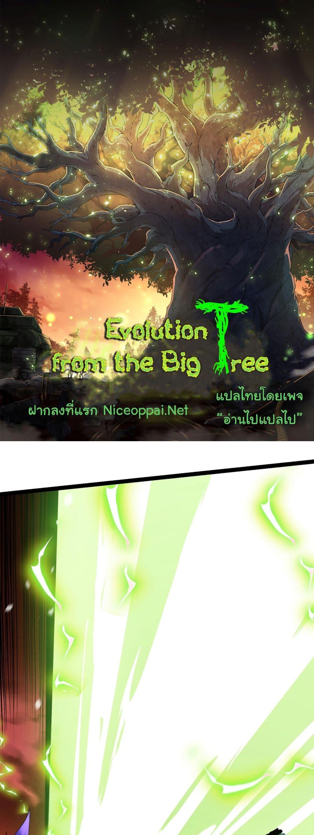 Evolution from the Big Tree แปลไทย