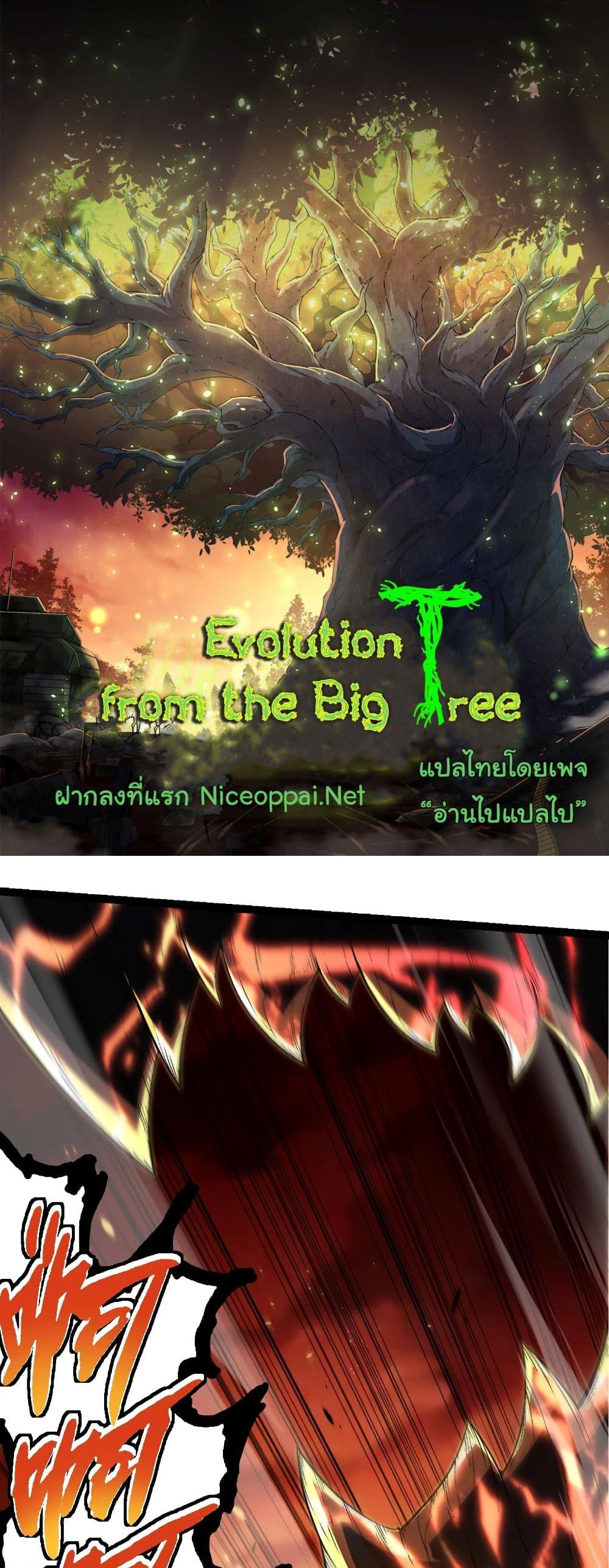 Evolution from the Big Tree แปลไทย