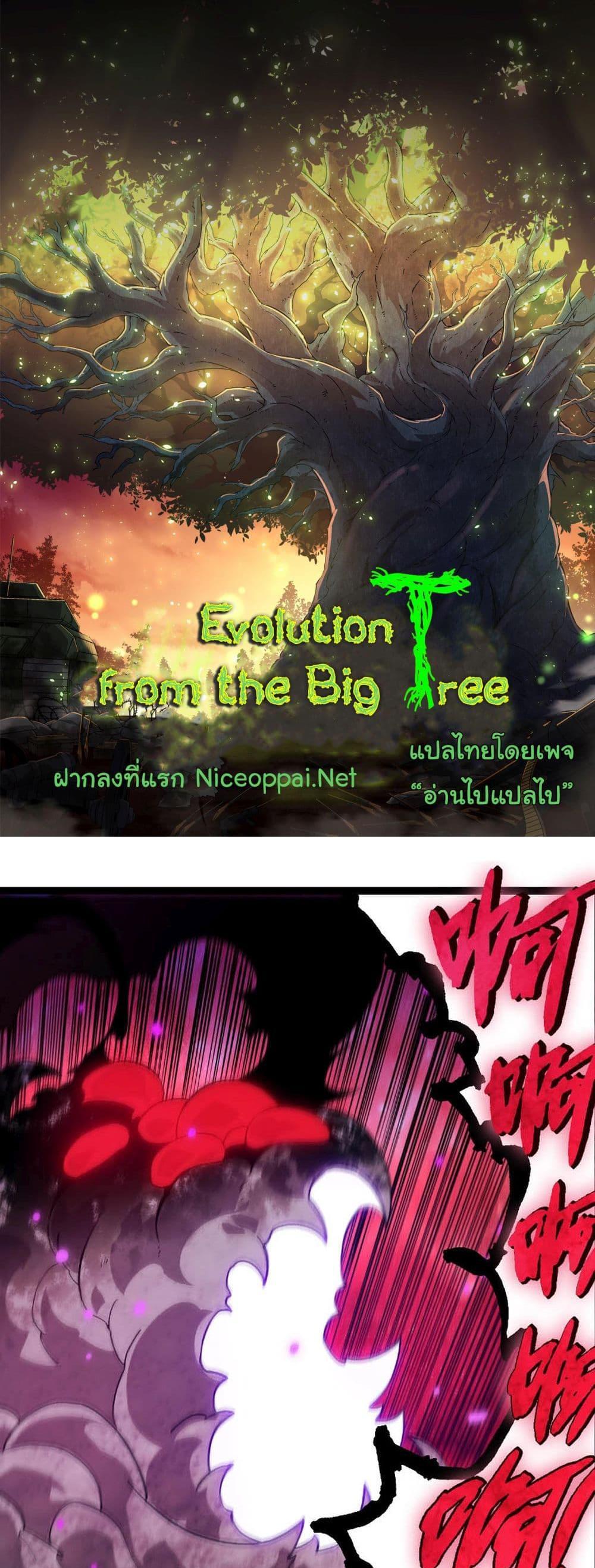 Evolution from the Big Tree แปลไทย