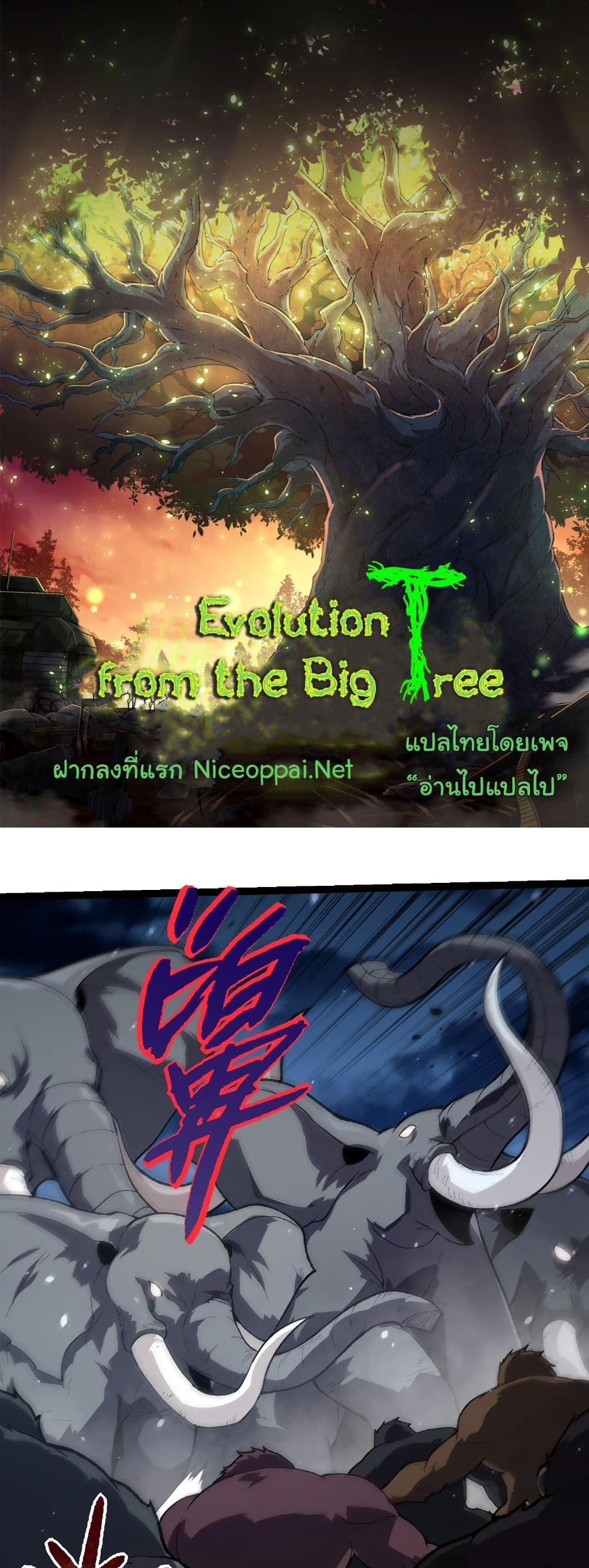 Evolution from the Big Tree แปลไทย