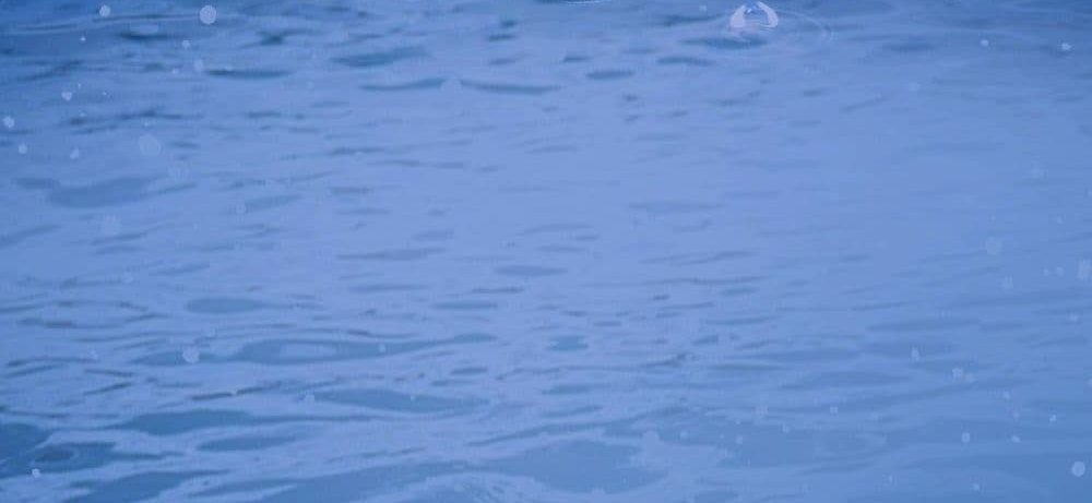 The Creators แปลไทย