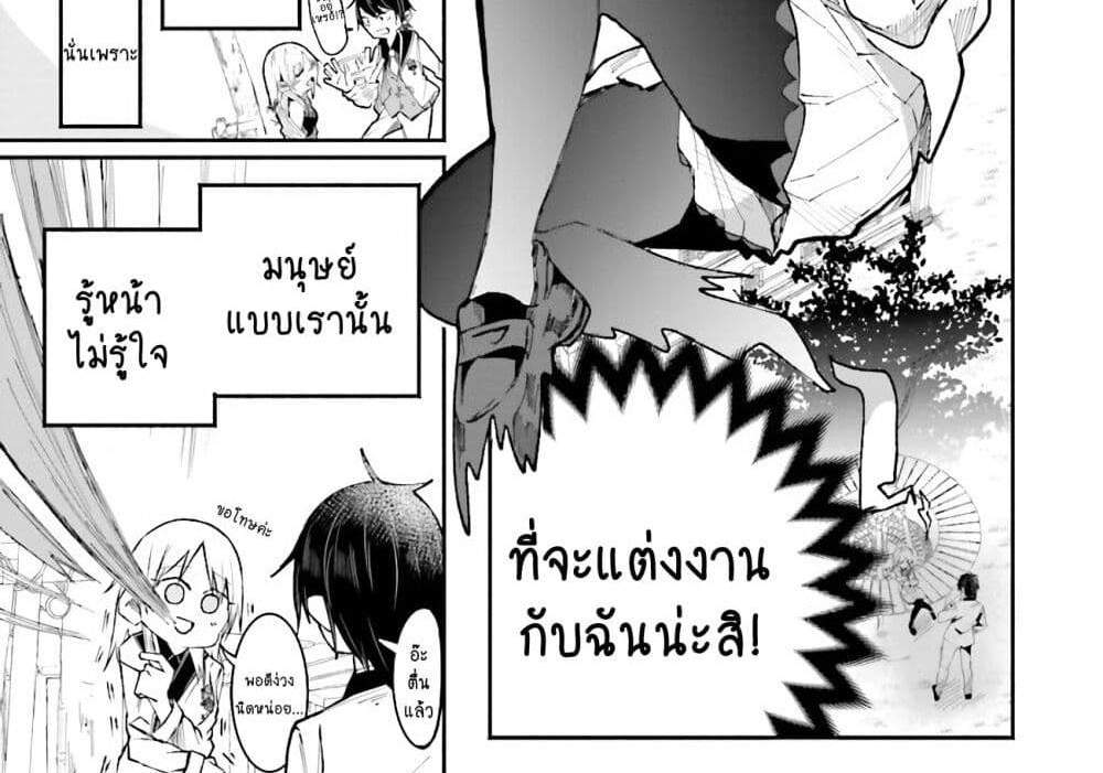 Isekai de Haishin Katsudou wo Shitara Tairyou no Yandere Shinja wo Umidashite Shimatta Ken แปลไทย