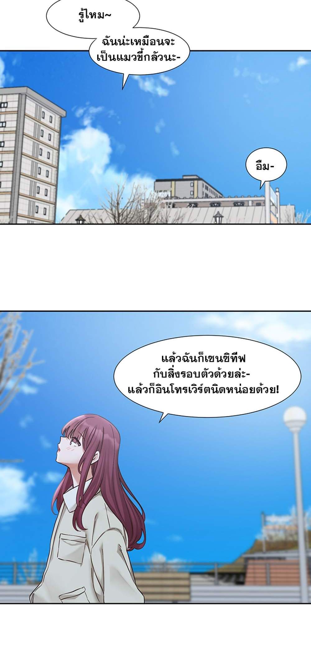 Theater Society (Circles) แปลไทย