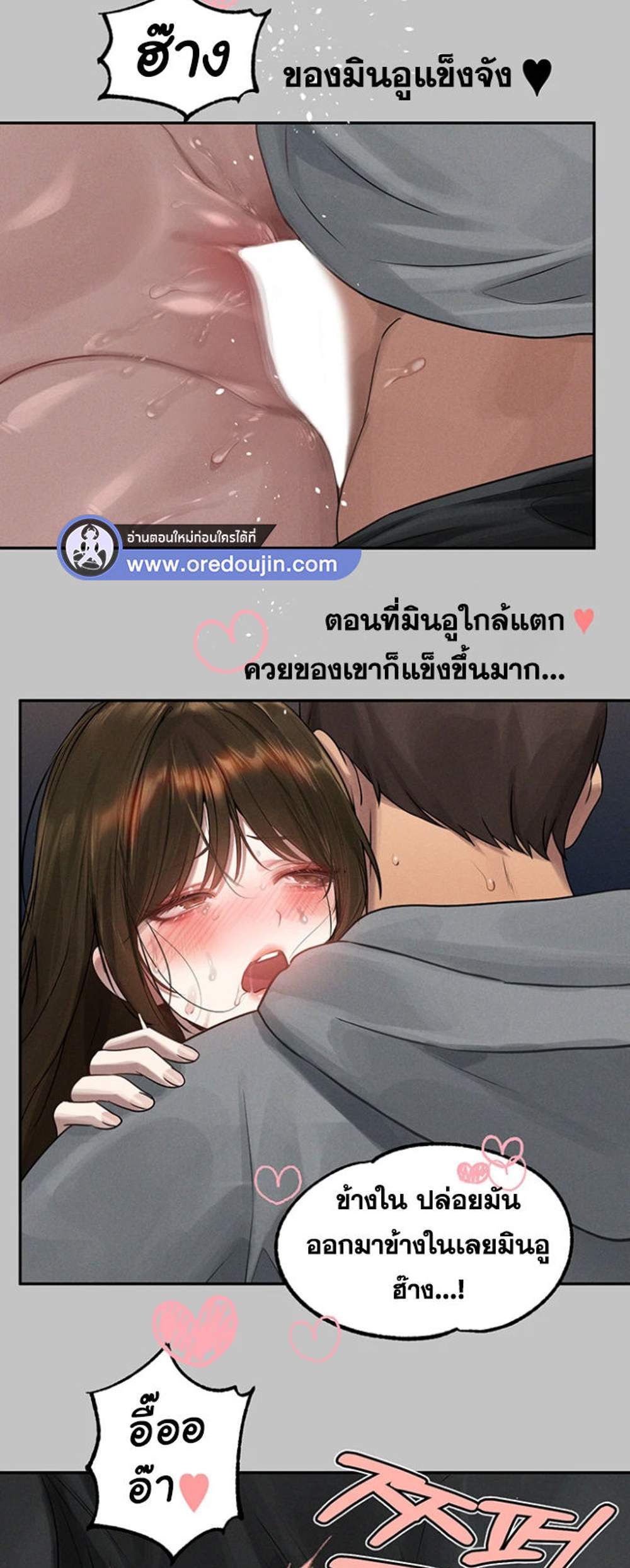 My Landlady Noona After Story แปลไทย