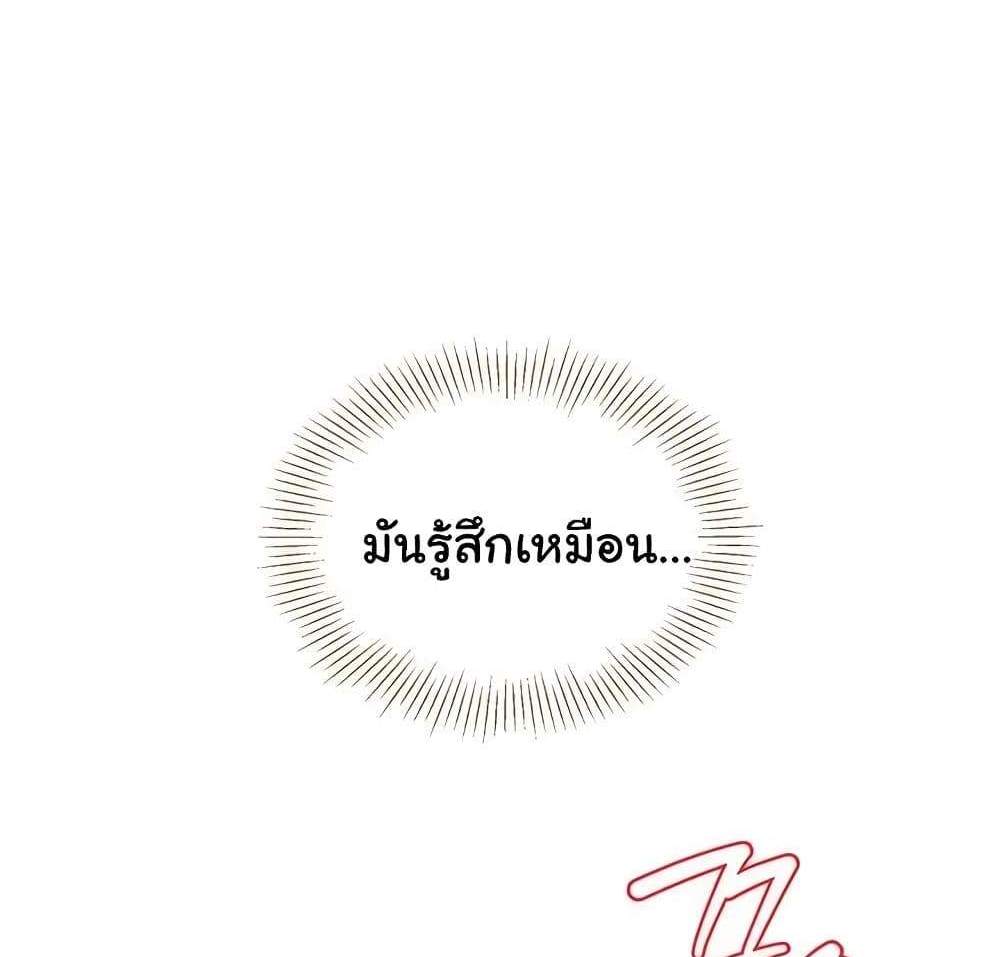 Set Up แปลไทย