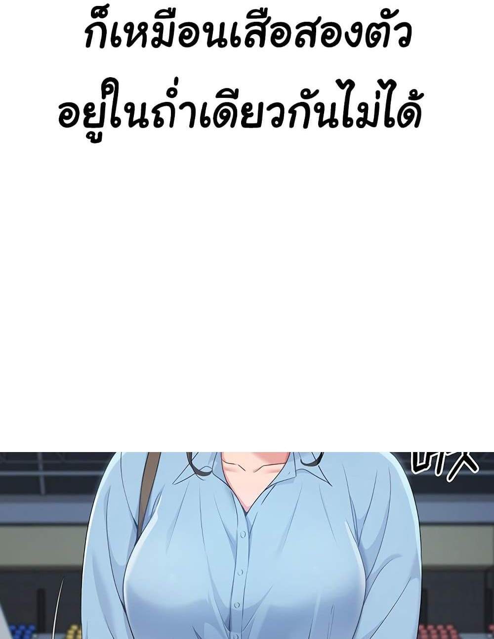 Set Up แปลไทย