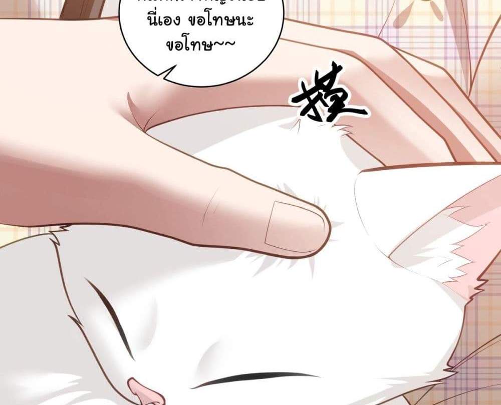 I Really Don’t Want to be Reborn แปลไทย