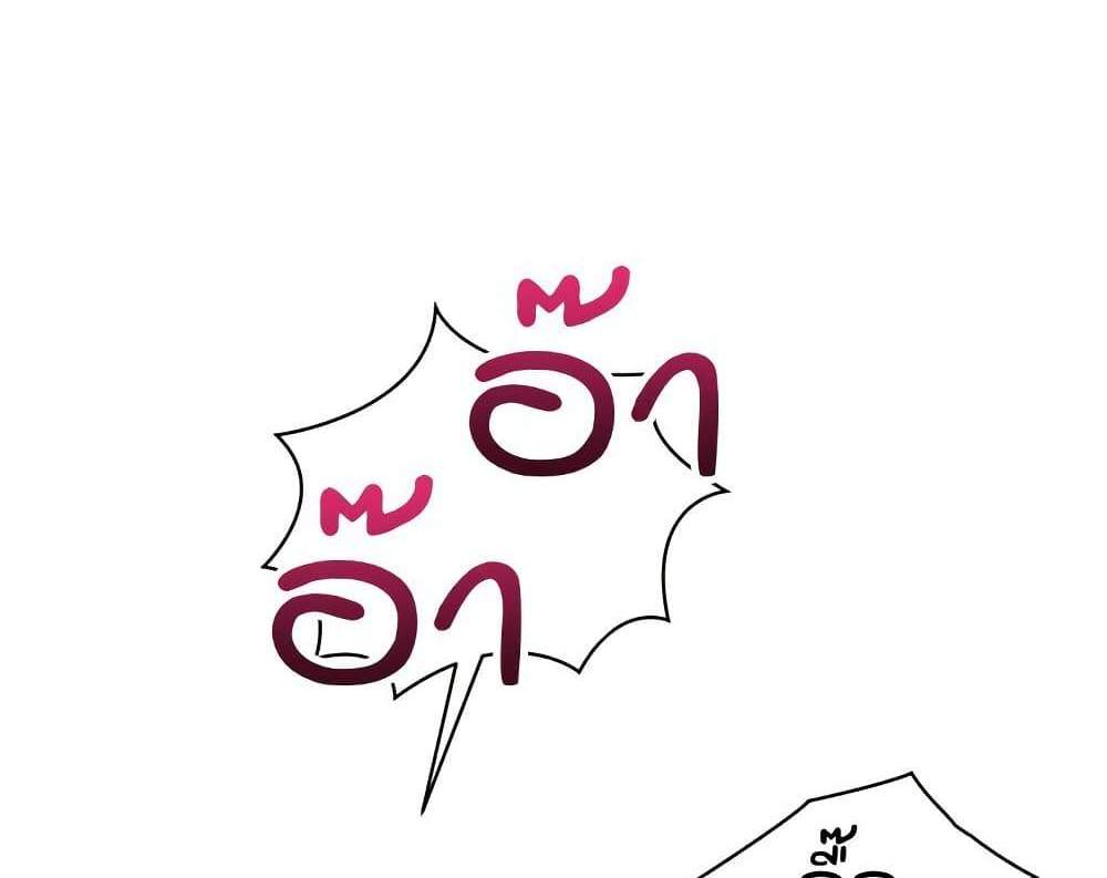 Set Up แปลไทย