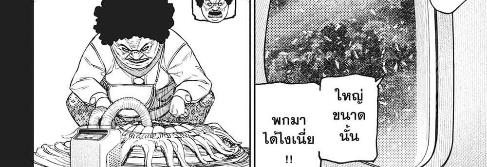 Dandadan แปลไทย