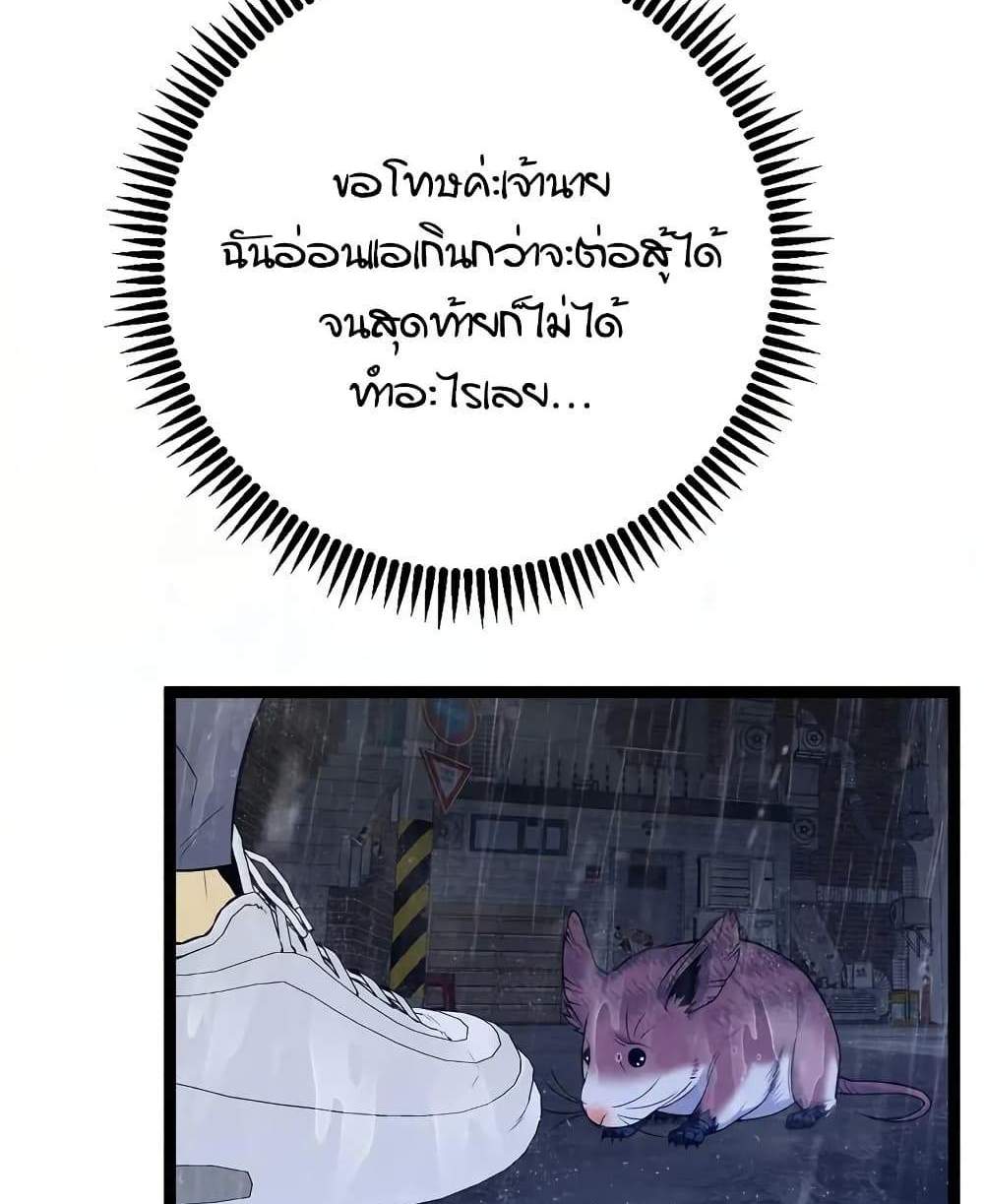 Your Talent is Mine แปลไทย