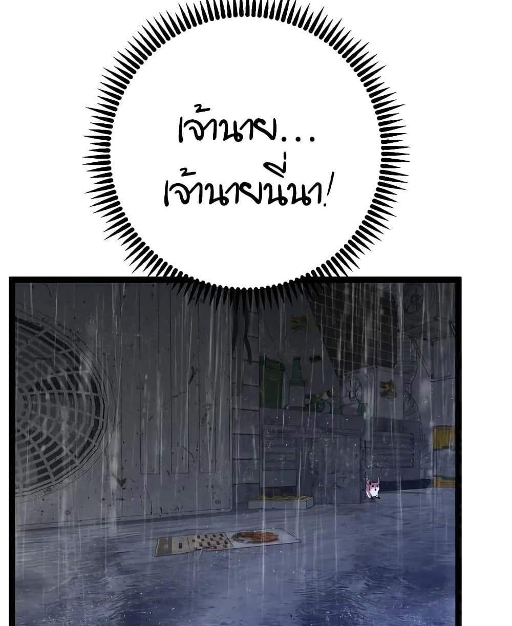 Your Talent is Mine แปลไทย